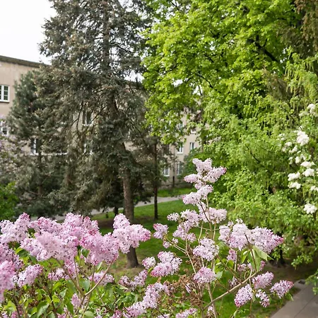 公寓 Metro Raclawicka Homey By Bookinghost *